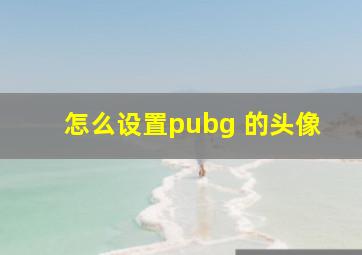 怎么设置pubg 的头像